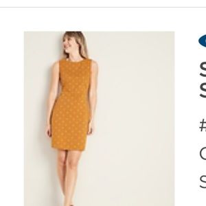 Sleeveless printed point knit sheath dress